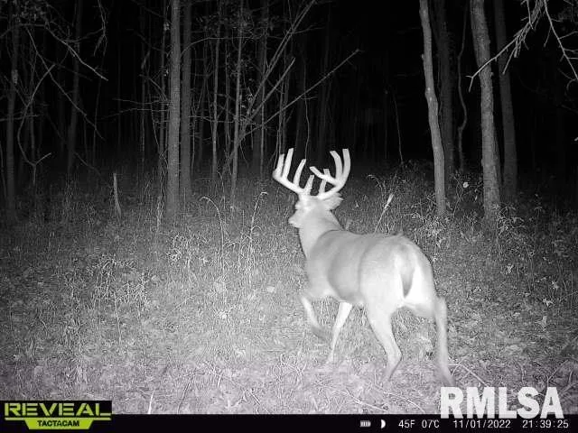 $420,000 | 0 County Highway, Unit COUNTY, Cisne, IL 62823