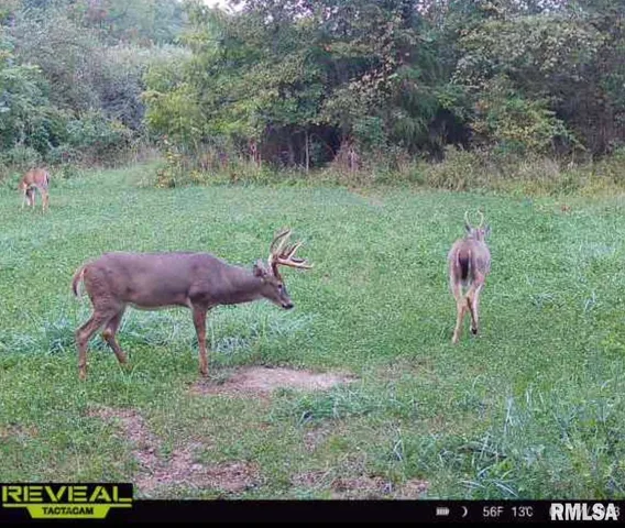 $420,000 | 0 County Highway, Unit COUNTY, Cisne, IL 62823