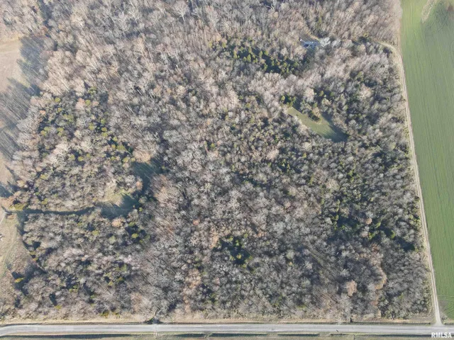 $420,000 | 0 County Highway, Unit COUNTY, Cisne, IL 62823