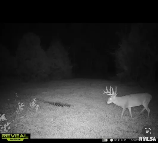 $420,000 | 0 County Highway, Unit COUNTY, Cisne, IL 62823