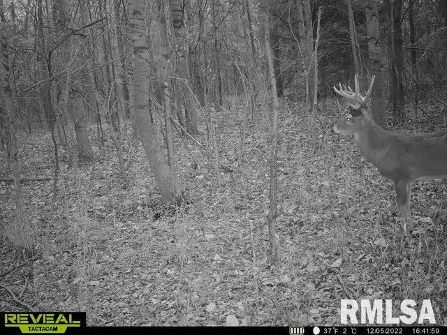 $420,000 | 0 County Highway, Unit COUNTY, Cisne, IL 62823