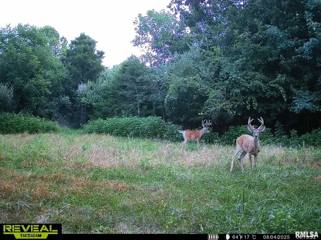 $420,000 | 0 County Highway, Unit COUNTY, Cisne, IL 62823