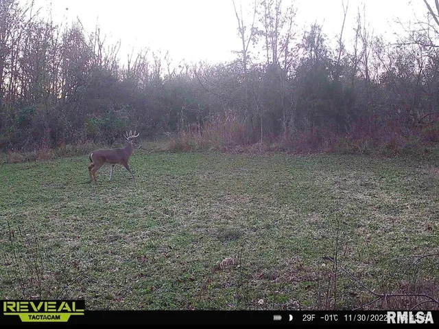 $420,000 | 0 County Highway, Unit COUNTY, Cisne, IL 62823