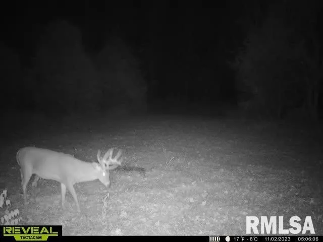 $420,000 | 0 County Highway, Unit COUNTY, Cisne, IL 62823