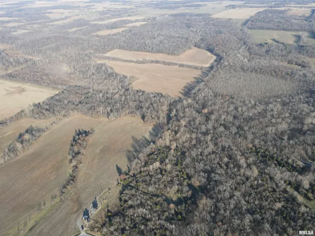 $420,000 | 0 County Highway, Unit COUNTY, Cisne, IL 62823