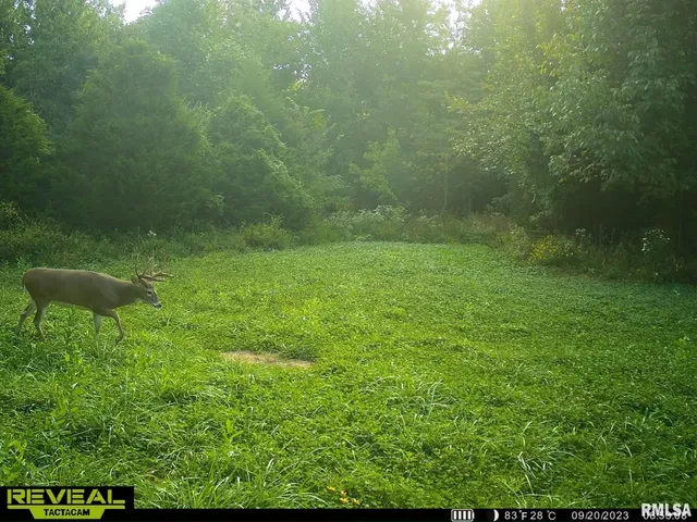 $420,000 | 0 County Highway, Unit COUNTY, Cisne, IL 62823