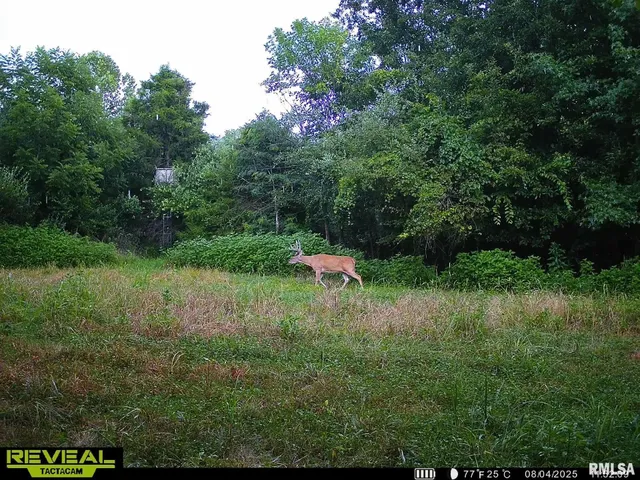 $420,000 | 0 County Highway, Unit COUNTY, Cisne, IL 62823