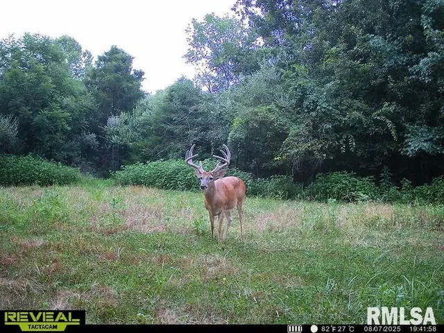 $420,000 | 0 County Highway, Unit COUNTY, Cisne, IL 62823