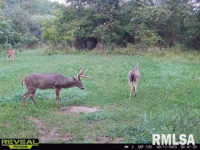 $420,000 | 0 County Highway, Unit COUNTY, Cisne, IL 62823