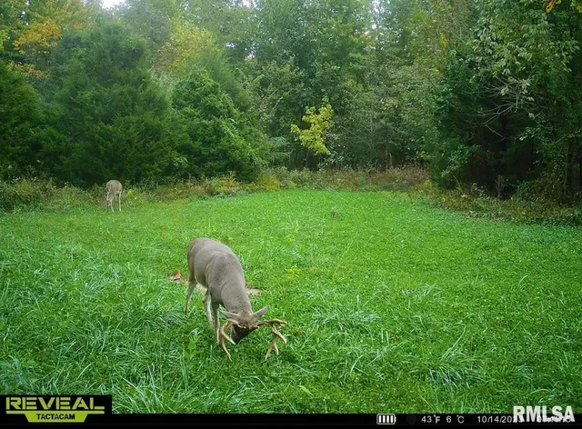 $420,000 | 0 County Highway, Unit COUNTY, Cisne, IL 62823