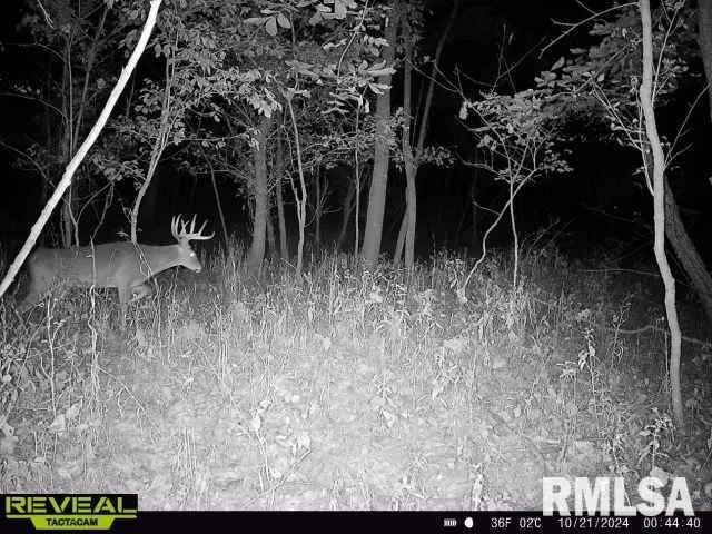 $420,000 | 0 County Highway, Unit COUNTY, Cisne, IL 62823