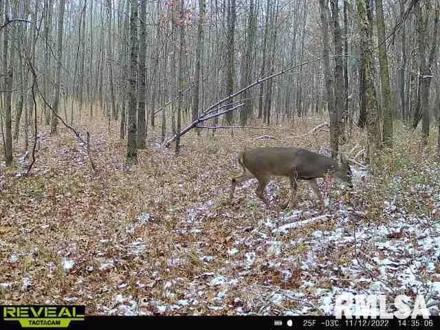 $420,000 | 0 County Highway, Unit COUNTY, Cisne, IL 62823