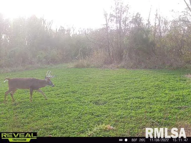 $420,000 | 0 County Highway, Unit COUNTY, Cisne, IL 62823