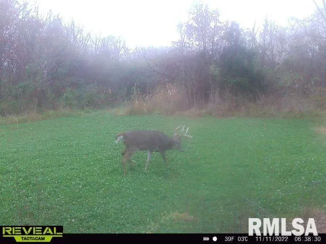 $420,000 | 0 County Highway, Unit COUNTY, Cisne, IL 62823