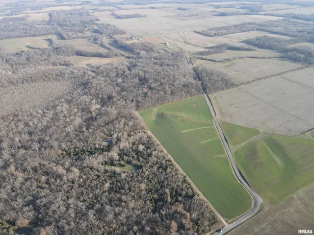 $420,000 | 0 County Highway, Unit COUNTY, Cisne, IL 62823