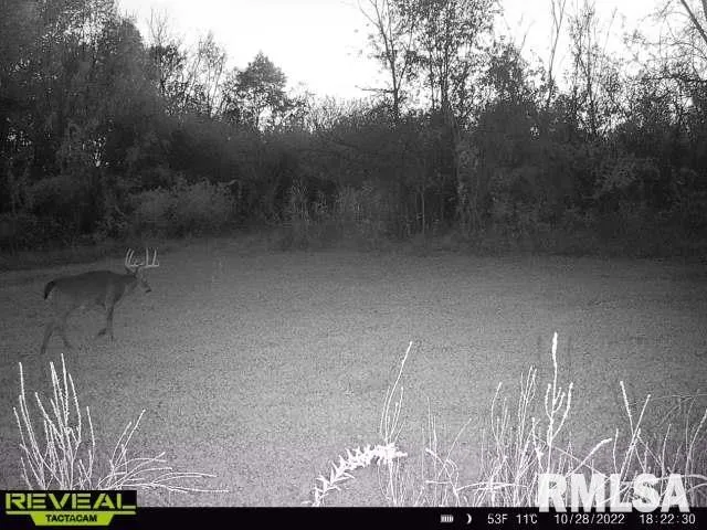 $420,000 | 0 County Highway, Unit COUNTY, Cisne, IL 62823