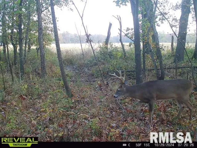 $420,000 | 0 County Highway, Unit COUNTY, Cisne, IL 62823