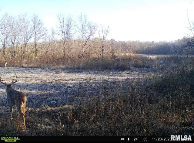 $420,000 | 0 County Highway, Unit COUNTY, Cisne, IL 62823