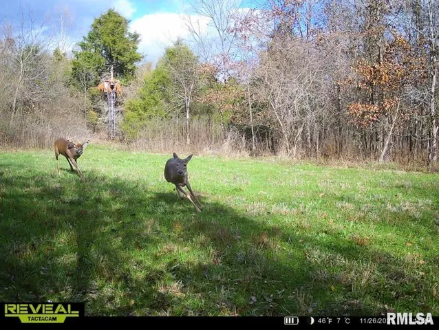 $420,000 | 0 County Highway, Unit COUNTY, Cisne, IL 62823