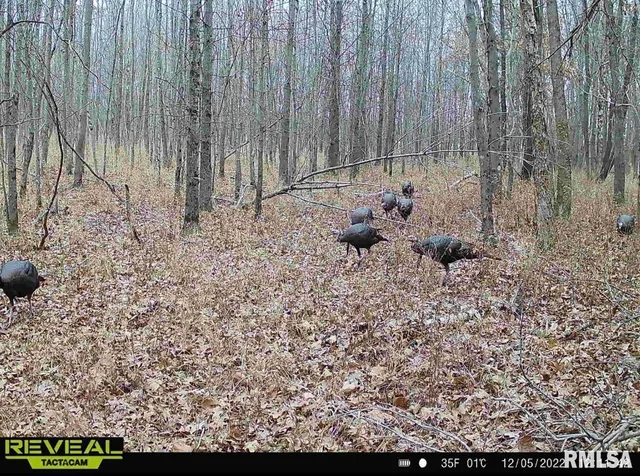 $420,000 | 0 County Highway, Unit COUNTY, Cisne, IL 62823