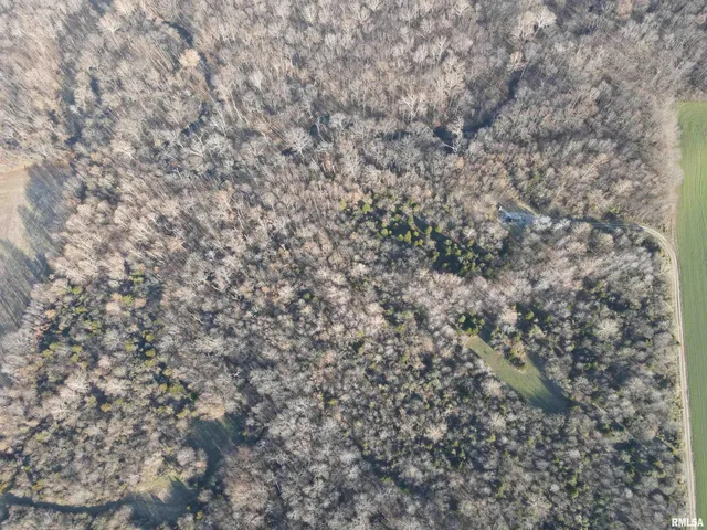 $420,000 | 0 County Highway, Unit COUNTY, Cisne, IL 62823