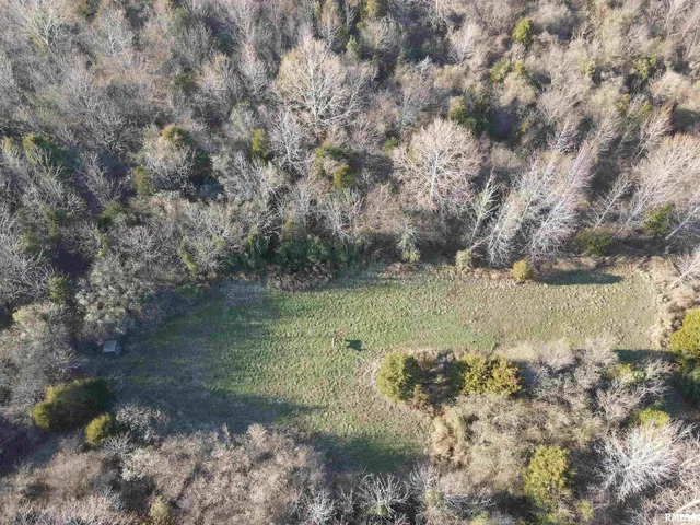 $420,000 | 0 County Highway, Unit COUNTY, Cisne, IL 62823