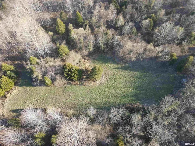 $420,000 | 0 County Highway, Unit COUNTY, Cisne, IL 62823