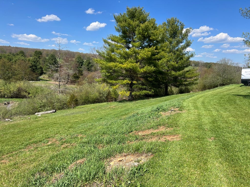 99 Meadowview Road Bland, VA 24315 - Photo 37 of 42 Gallery Image 37