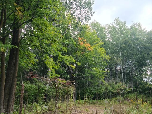 7045 Highway 2 Saginaw, MN 55779 - Photo 11 of 12