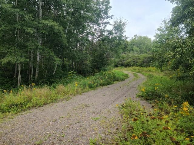 7045 Highway 2 Saginaw, MN 55779 - Photo 2 of 12