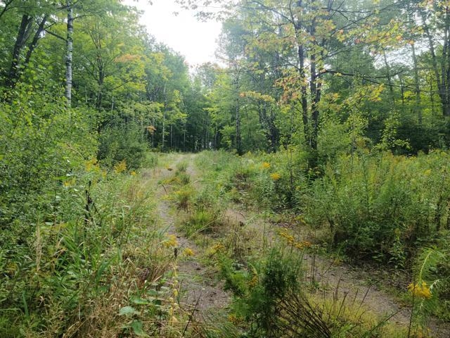 7045 Highway 2 Saginaw, MN 55779 - Photo 7 of 12