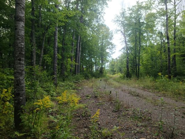 7045 Highway 2 Saginaw, MN 55779 - Photo 8 of 12