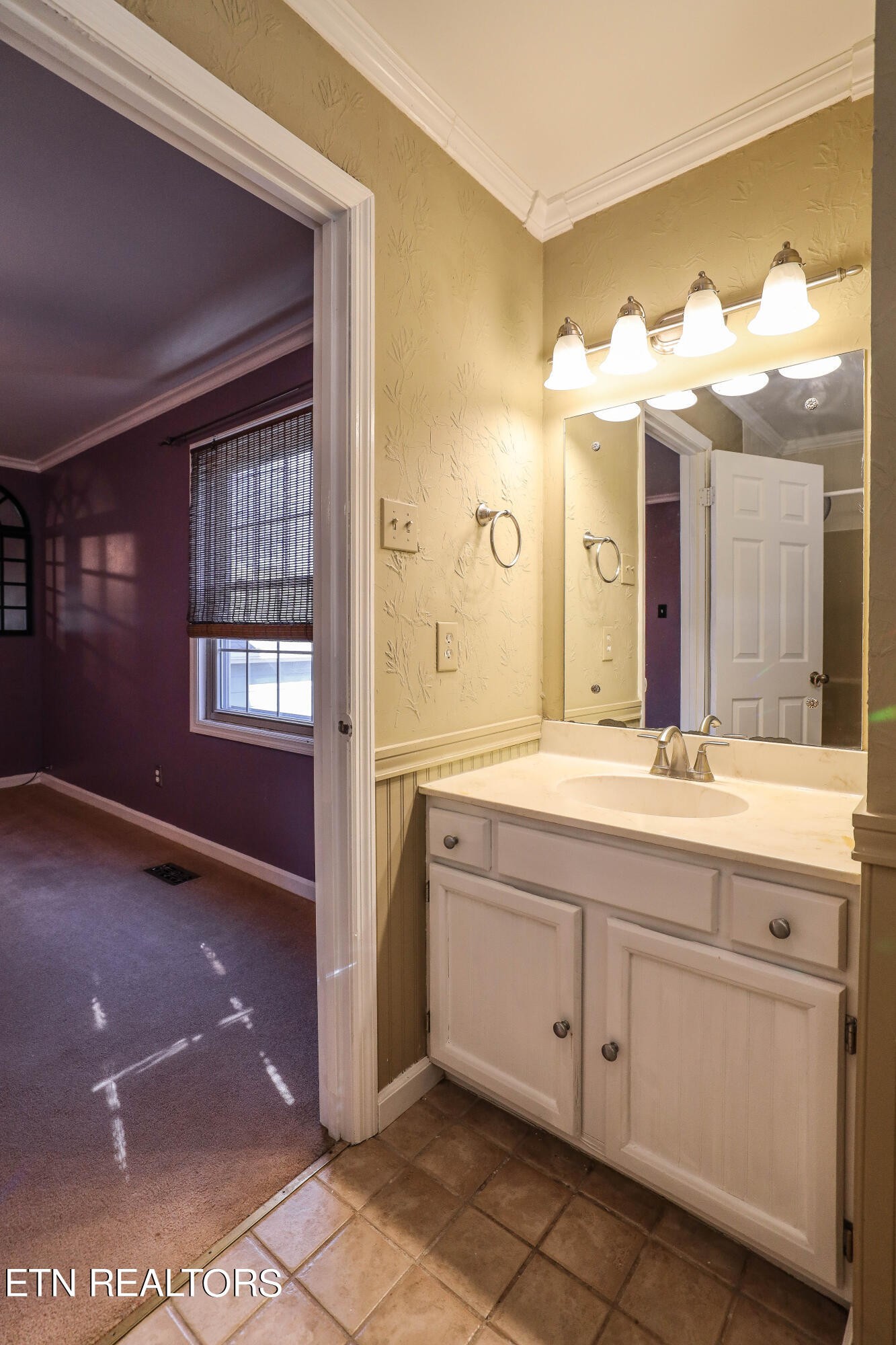 1340 Windamere Road Knoxville, TN 37923 - Photo 40 of 53 a bathroom with a sink and a mirror