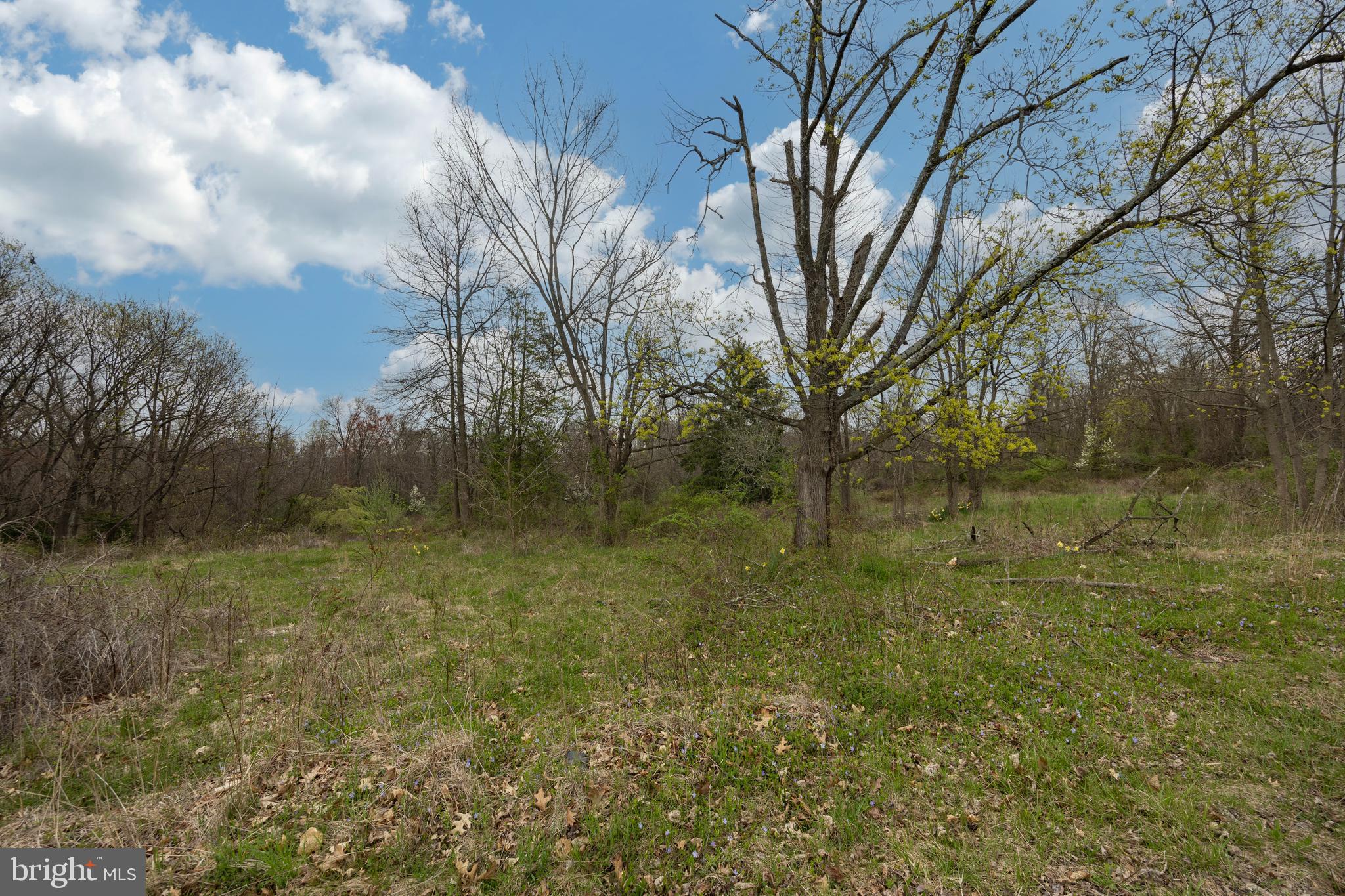 1237 Temple Road Pottstown, PA 19465 - Photo 4 of 10 Gallery Image 4