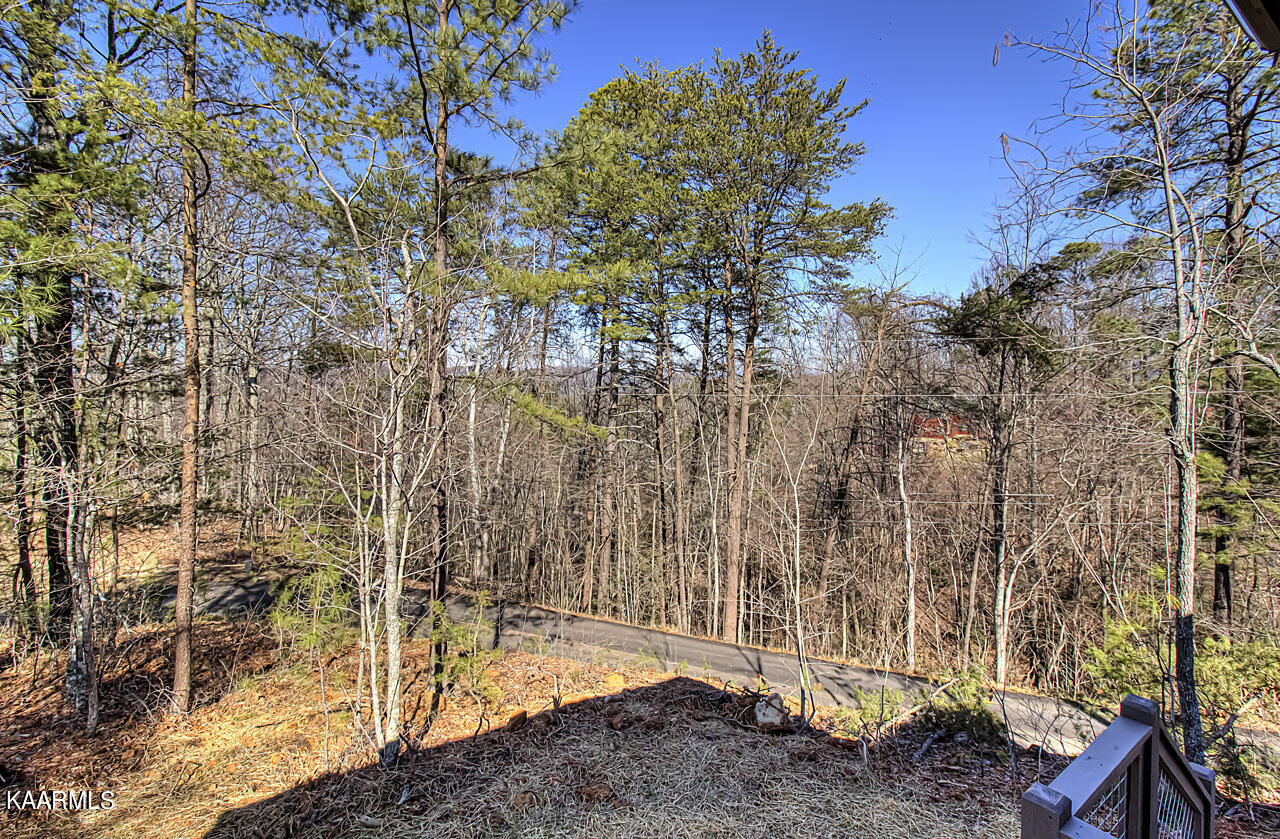 4270 South Boogertown Road Sevierville, TN 37876 - Photo 46 of 49 IMG_7887LR