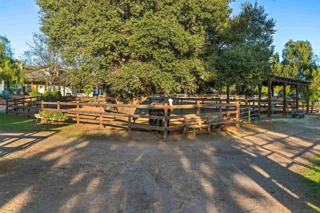 a view of backyard with outdoor seating and trees