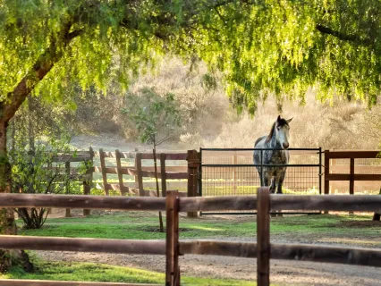 a view of green field