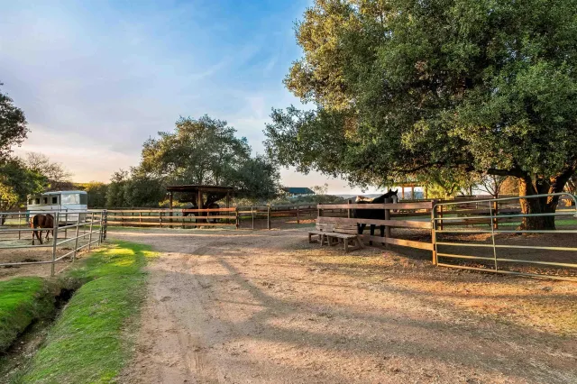 a view of a yard with a tree