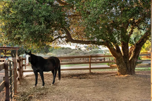 a view of outdoor space