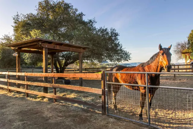 a front view of a house with a garden and yard