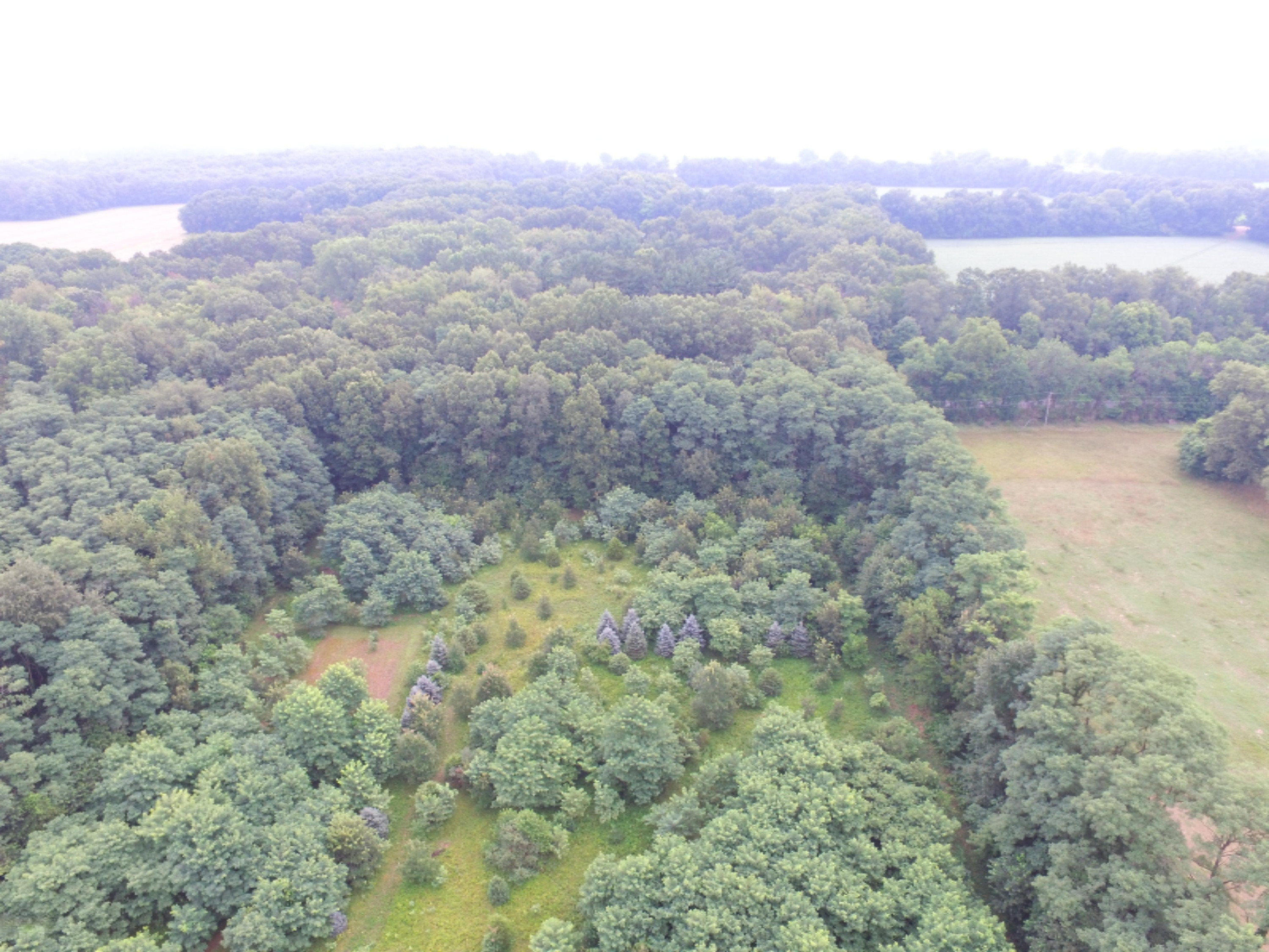 Three Rivers Mi 49093 Three Rivers, MI 49093 - Photo 8 of 13 Photo4