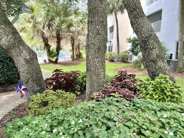 a view of a garden with plants