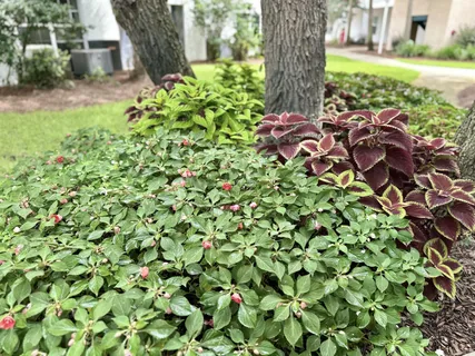 a view of a house with a floor to ceiling window next to a yard