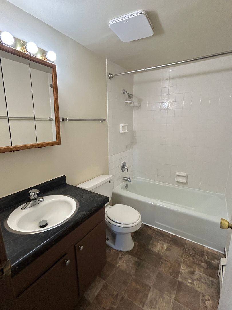 1300 Getzelman Drive, Unit 4 Elgin, IL 60123 - Photo 7 of 8 a bathroom with a sink toilet a mirror and shower