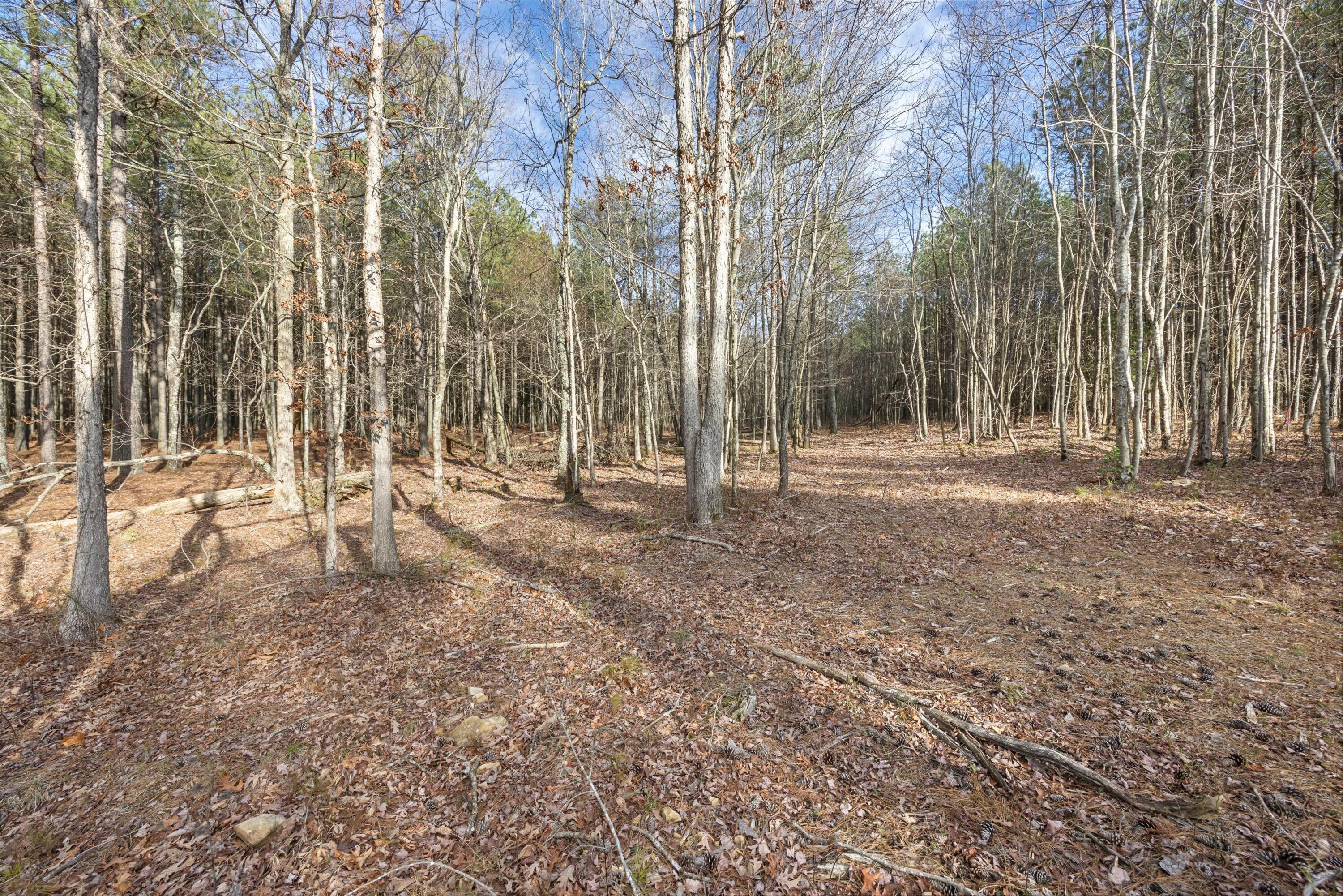 0 Raulston Falls Drive, Unit JF117 Jasper, TN 37347 - Photo 4 of 20 02-2M6A9814