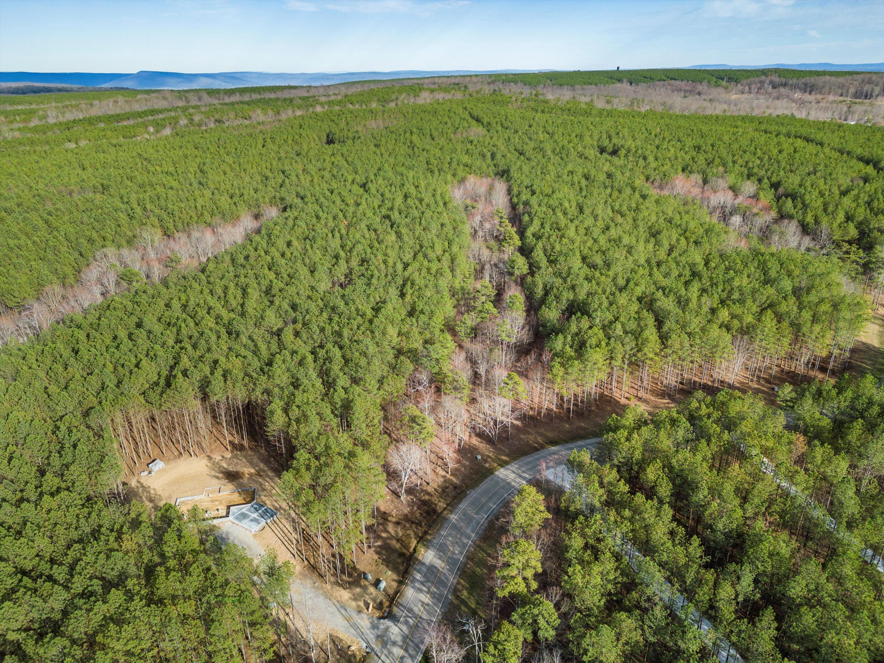 0 Raulston Falls Drive, Unit JF117 Jasper, TN 37347 - Photo 8 of 20 08-DJI_0154