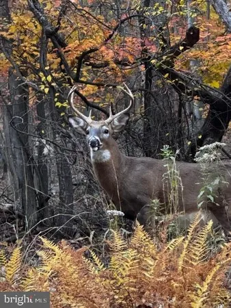 $349,995 | 516 Roberts Road, Great Cacapon, WV 25422
