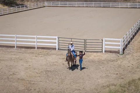 a view of swimming pool with a yard