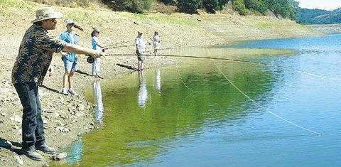 $4,500,000 | 23785 McKean Road, San Jose, CA 95141