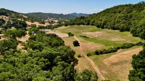 a view of a lake in middle of the forest